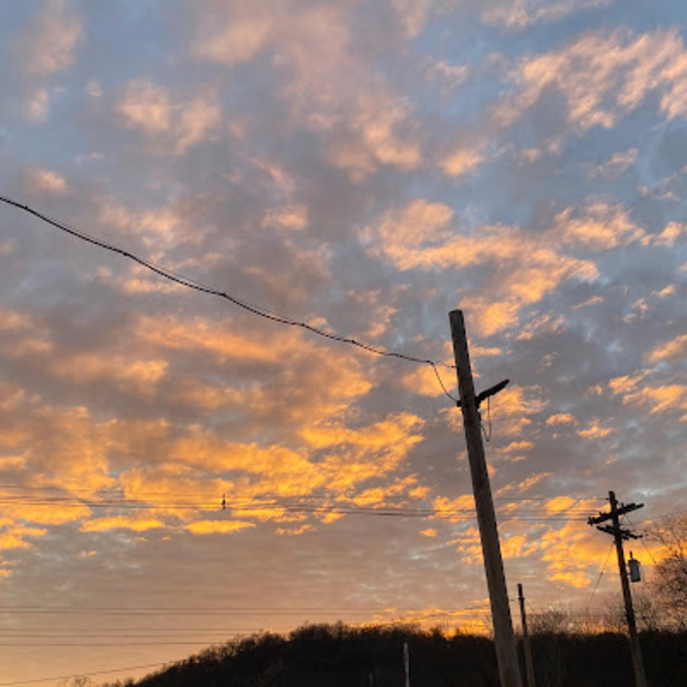 Meet your Posher, Joyrayne